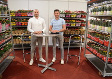 Laurens van Horssen en Arjan Kolbach van Satter Roses, in de 10.5 en 12 cm potroosjes de grootste speler van het land (en ver daarbuiten).